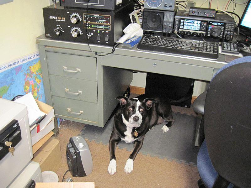 a dog sitting underneath the desk at the radio station